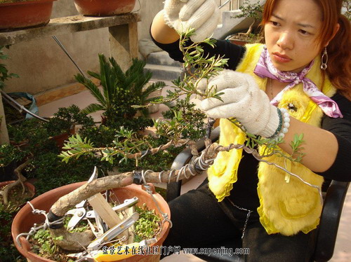 �Dʾ�_�h���辰����ȫ�^��(�M�D)