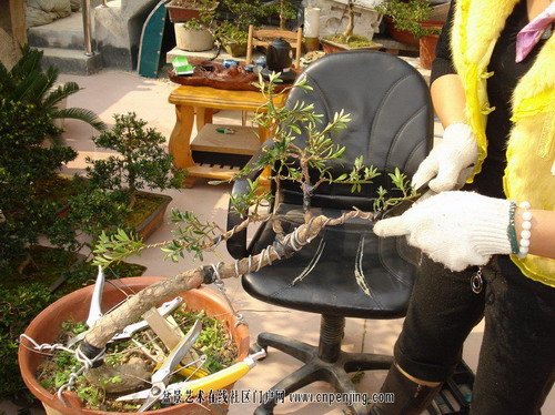 �Dʾ�_�h���辰����ȫ�^��(�M�D)