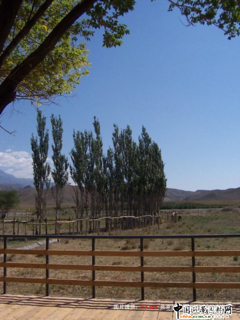 �½���ɽҰ����(d��ng)��@