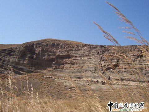 �½���ɽҰ����(d��ng)��@