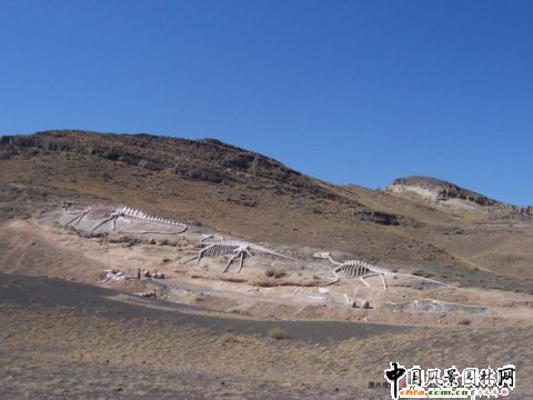 �½���ɽҰ������@