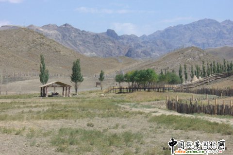 �½���ɽҰ������@