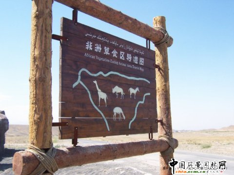 �½���ɽҰ������@