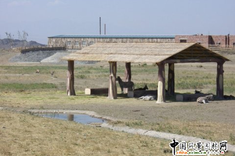 �½���ɽҰ������@