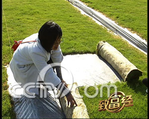 ��ƺ��(j��ng)�o(j��)������ϼ���M(f��i)�M�ęC(j��)���u�ݹ���(�D)