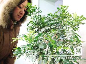 �Ͼ�����ˮ�ɱ������m��߀�_��(�D)