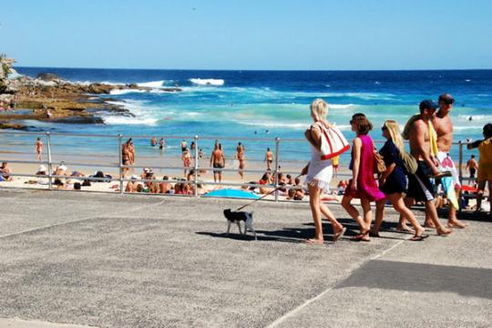 ������Ϥ���Ϻ���