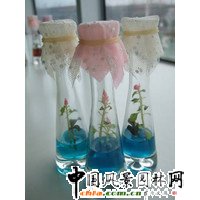 �½�������õ�����ː�(�D)