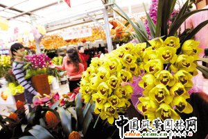 �������R̫��Ʒ���ܹ�ǰ��������(�D)