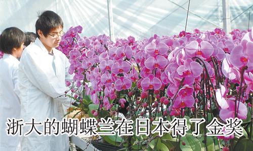 ���ĺ����m���ձ����˽�(ji��ng)