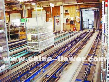 ��(gu��)�H������ͨ���_(t��i)܇��(y��ng)��ʾ��(�M�D)