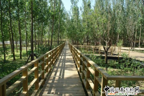 ���P(gu��n)�儓(chu��ng)�@