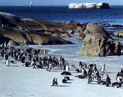 �c���g�[��һ��