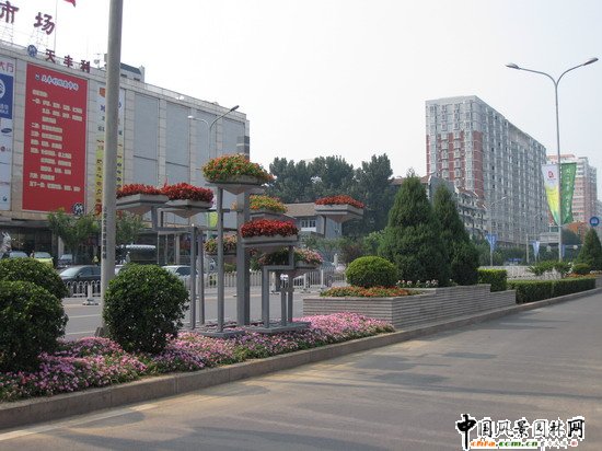 ��ꖅ^2007��W�\���^���s� ��ِ·�� ;��·���ؾ��ɂȭh�����ξG����ƽ��������Ƭ�|�ȸ��x������