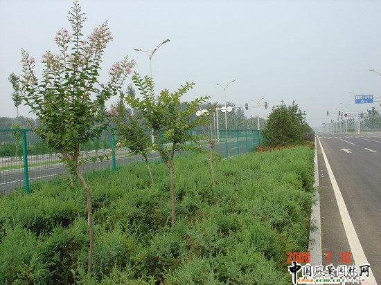 2008�����Ʒ����֮������ɽ�^�ח�|·�G������