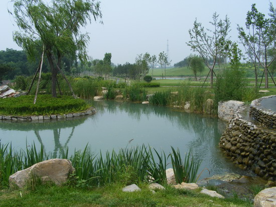 2008�����(y��u)�|(zh��)����֮������Ӟ��ߠ�������������G������