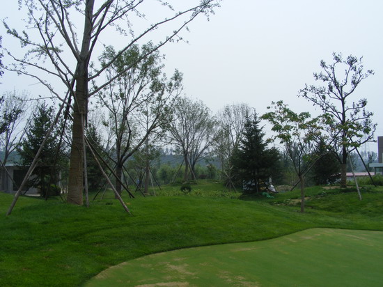 2008�����(y��u)�|(zh��)����֮������Ӟ��ߠ�������������G������