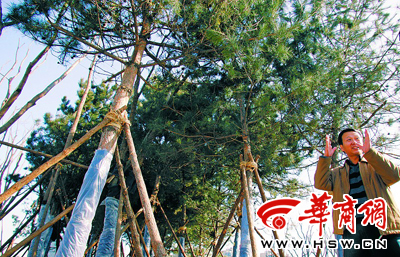 ��̫�ܣ��@�־֬F(xi��n)�����(�D)