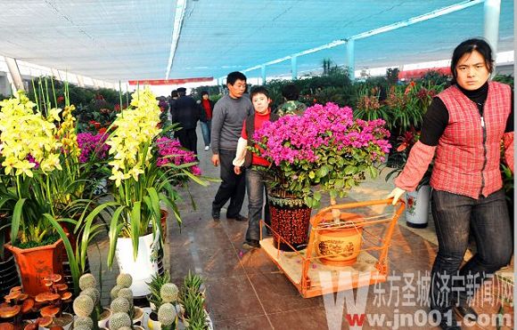 ���������ش������� ��ľ���ܘI��lչ