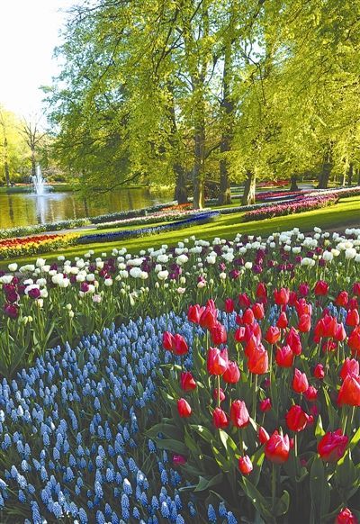 ���m����ϻ��򹫈@�l(f��)���������Ո(q��ng)