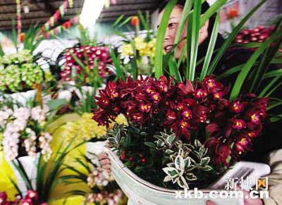 �����Ĵ��dꖡ�������������"����(ji��n)��(qi��ng)"��