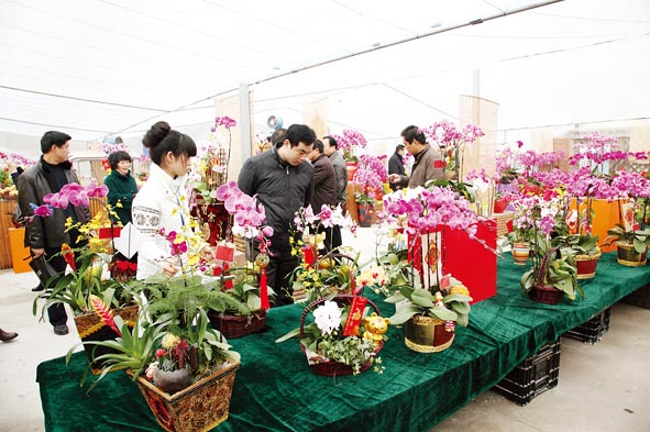 �������������ۡ�����ɽ���Č�������չ��ӛ