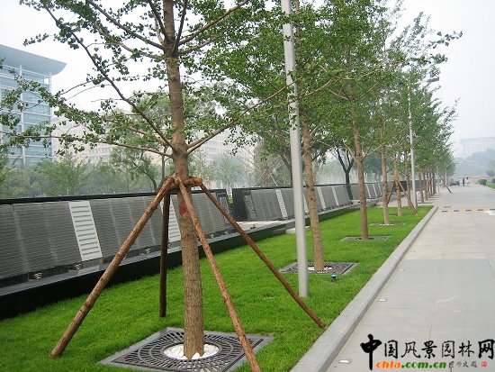 凱晨廣場--室外景觀效果