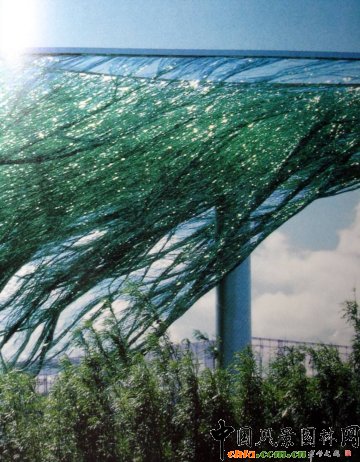 Masha Schwartz�O(sh��)Ӌ(j��)��(w��)��