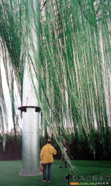 Masha Schwartz�O(sh��)Ӌ(j��)��(w��)��