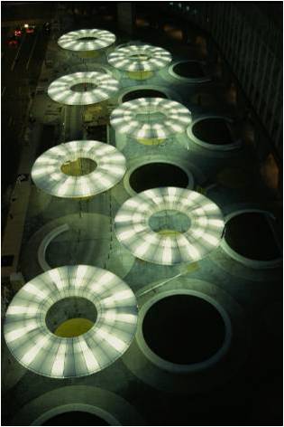 Masha Schwartz�OӋ����