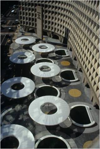 Masha Schwartz�OӋ����