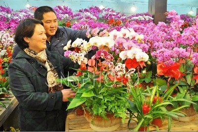 �Ͼ�������������̼tӭ�´����D��