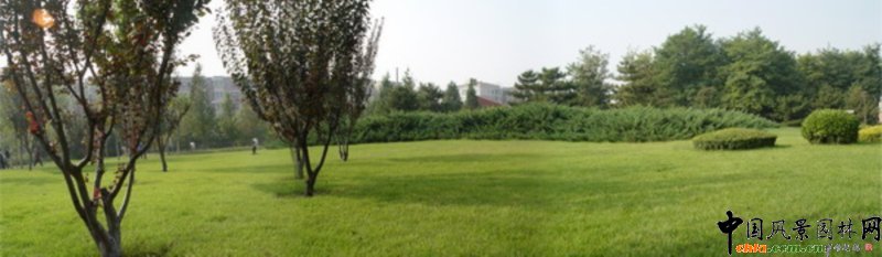 �Tܰ��Ʒ-�������@