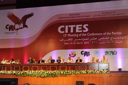 ���lΣҰ����(d��ng)ֲ��N���H�Q(m��o)�׹��s����ʮ��þ��s�����(hu��)�ڶ���e��