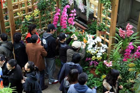 �Ϻ�ֲ��@�@�L�����t����������������^���б��ϡ�