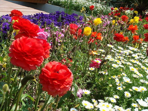 ���������ܡ���2010�Ϻ���չ���ʟo��