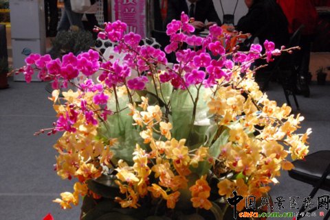 ����M�D����12�û��܈@ˇչ�ϵ���������