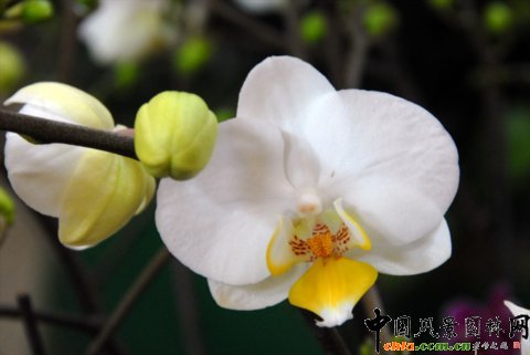 ����M�D����12�û��܈@ˇչ�ϵ���������