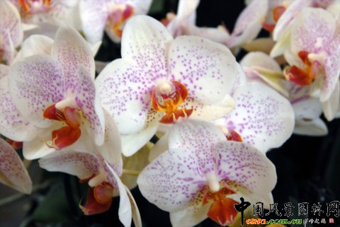     ����M�D����12�û��܈@ˇչ�ϵ���������