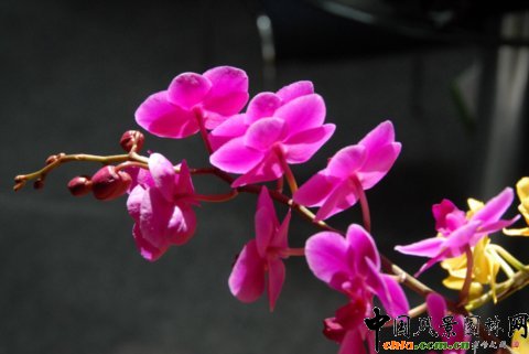     ����M�D����12�û��܈@ˇչ�ϵ���������