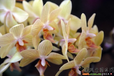 ����M�D����12�û��܈@ˇչ�ϵ���������