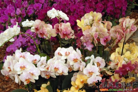 ����M�D����12�û��܈@ˇչ�ϵ���������