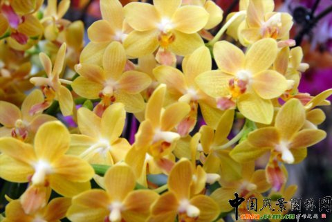 ����M�D����12�û��܈@ˇչ�ϵ���������