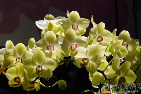 ����M�D����12�û��܈@ˇչ�ϵ���������