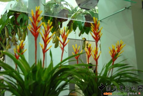 ����M�D����12�û��܈@ˇչ�ϵ���������