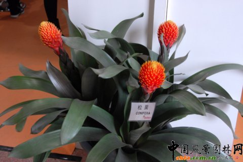 ����M�D����12�û��܈@ˇչ�ϵ���������