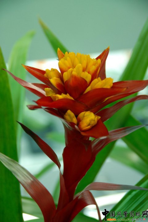 ����M�D����12�û��܈@ˇչ�ϵ���������