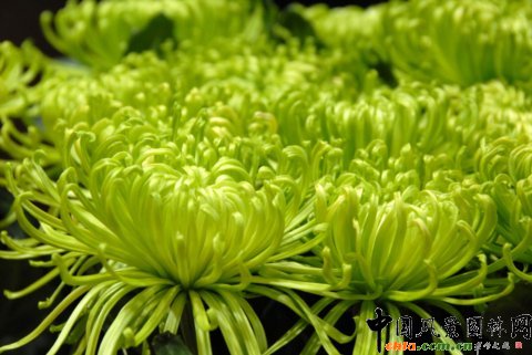 ����M�D����12�û��܈@ˇչ�ϵ���������