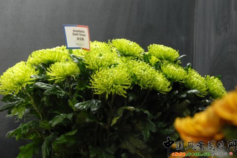 ����M�D����12�û��܈@ˇչ�ϵ���������