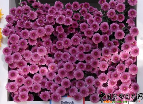 ����M�D����12�û��܈@ˇչ�ϵ���������